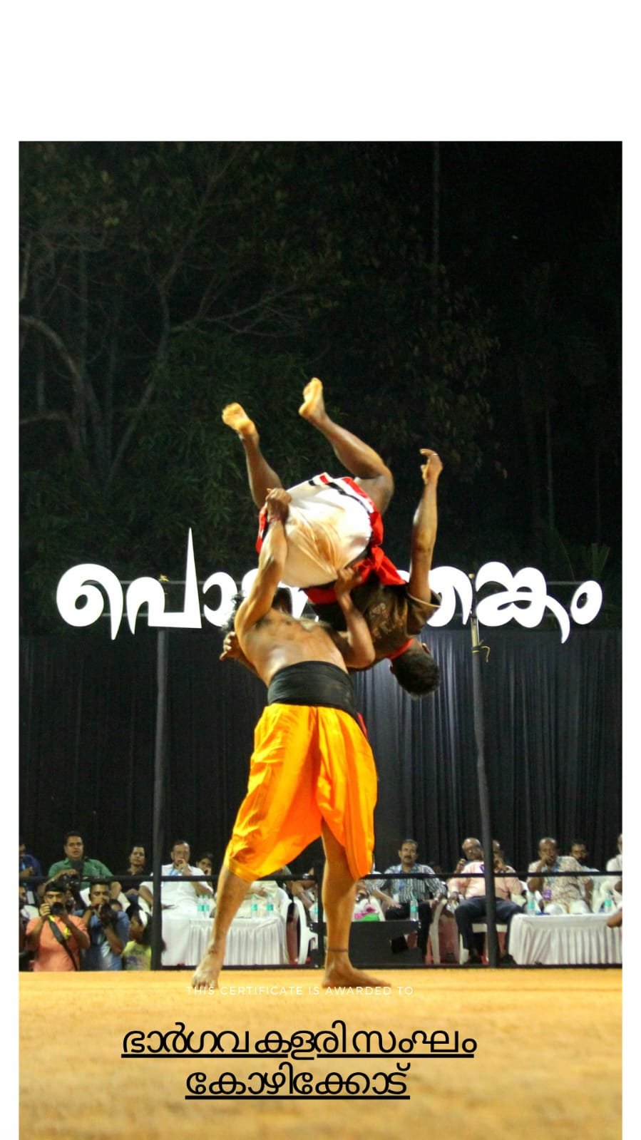 Kalarippayattu